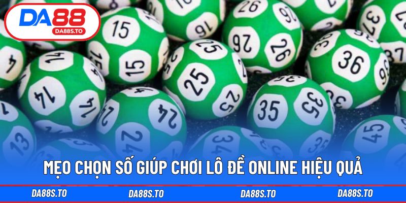 Gợi ý kinh nghiệm lựa chọn phù hợp khi tham gia